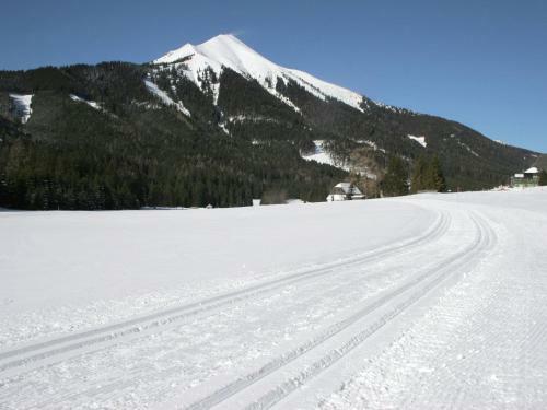 Alm Chalet Hohentauern I