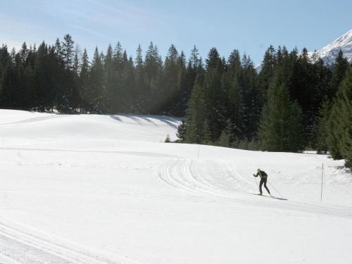 Alm Chalet Hohentauern I
