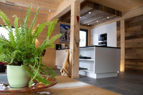 Chalet Park Hohentauern