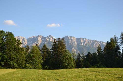 Apartamento Ferienappartement Rettensch�ss
