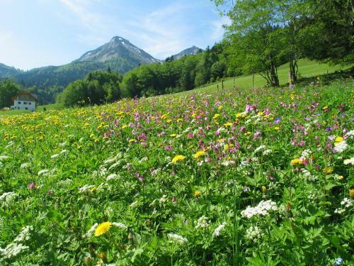 Ebner's Wohlf�hlhotel Gasthof Hintersee