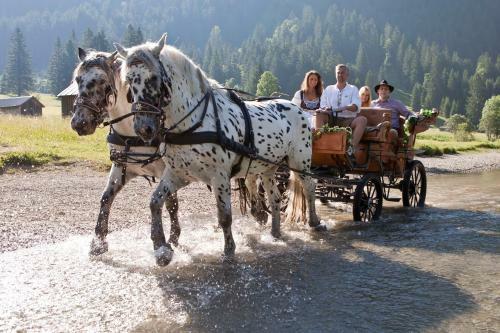 Hostal Gasthof - Pension Enzian