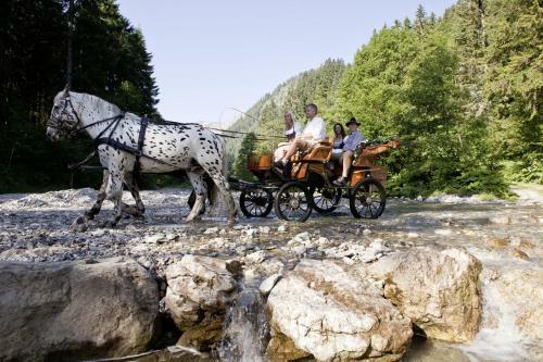 Hotel "zum Ritter"