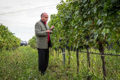Hostal Weingut & Landhaus Willi Opitz