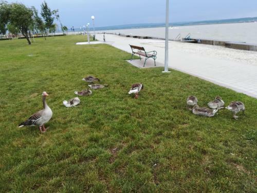 Apartamento Ferienwohnungen Feldsee