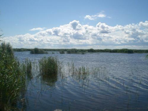 Apartamento Ferienwohnungen Feldsee