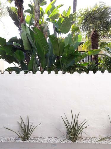 Apartamento Boho Banus Reci�n Reformado