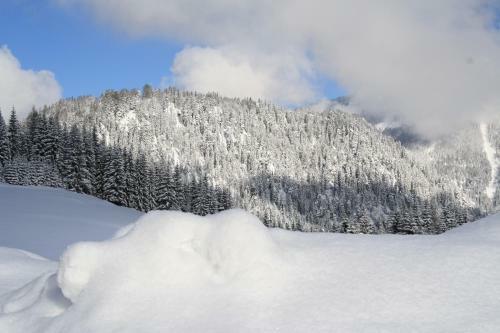 Hostal Alpengasthof Oberweissbach