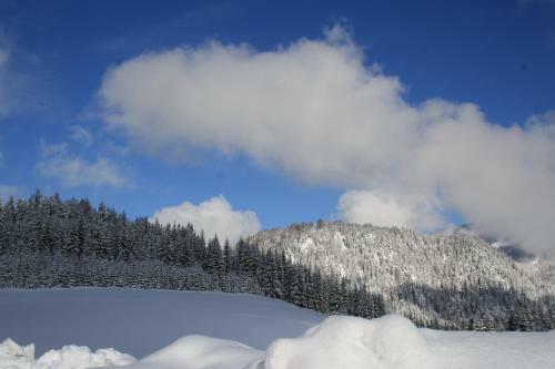 Hostal Alpengasthof Oberweissbach
