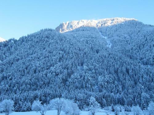 Apartamento Appartement Winkler
