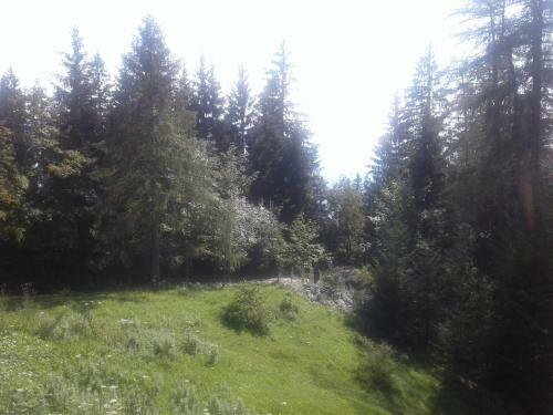 Hostal Halleiner H�tte