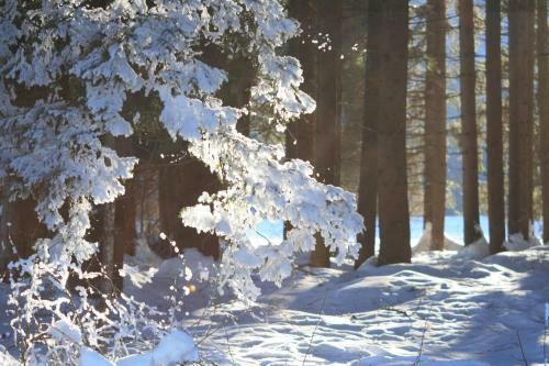 Hotel Pension Oberj�rg