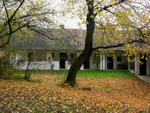 Haus Eveline