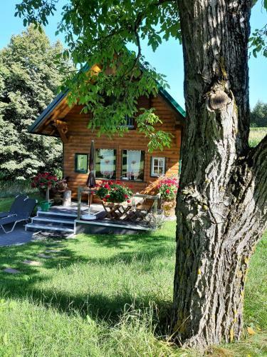 Apartamento Ferienwohnungen Soravia