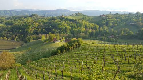 Apartamento Winzerhotel Wurzenberg S�dsteiermark