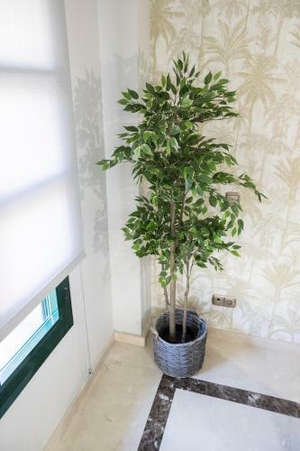 Apartamento Alterhome Chamber� I