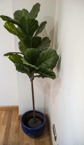 Apartamento Alterhome Chamber� I