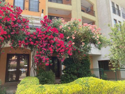 Apartamento Marina Cape Sea View