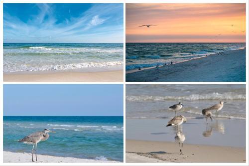 Island Winds East Unit 401