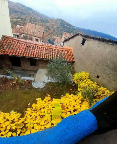 Apartamento La Due�a I