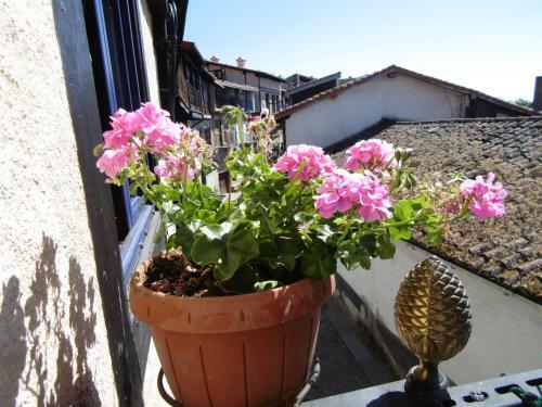 Apartamentos Azahar