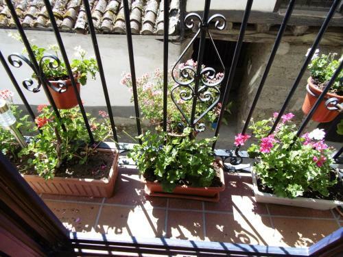 Apartamentos Azahar