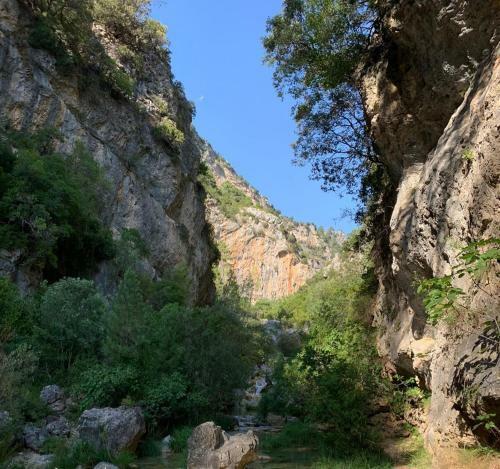 Vivienda Rural El Manantial