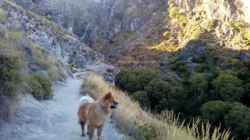 Apartamento Terrazas De Monachil