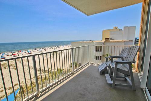 San Carlos 409 By Youngs Suncoast