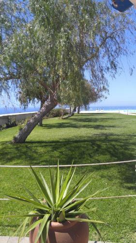 Apartamento Villa Flamboyan