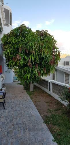 Apartamento Luxury 2 Bedroom Apt 50 M From Beach