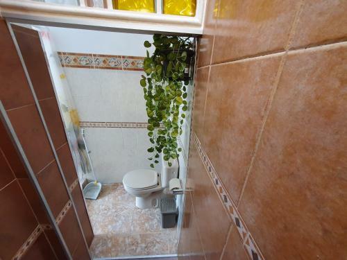 Apartamento Traditional Canarian House With Sea Views
