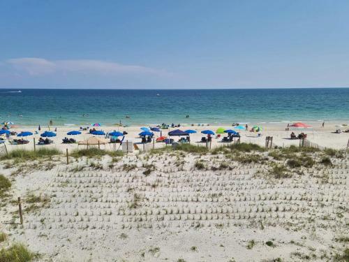 Westwind 301 By Youngs Suncoast