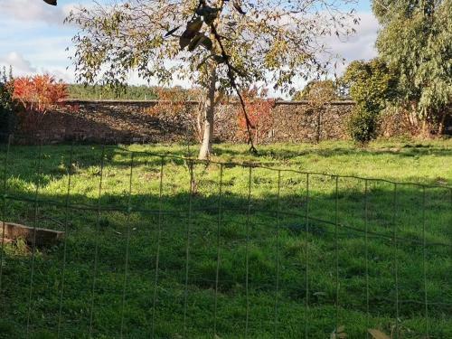 Casa Con Finca En Pol (monforte De Lemos)
