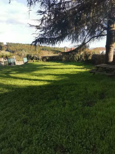 Casa Con Finca En Pol (monforte De Lemos)
