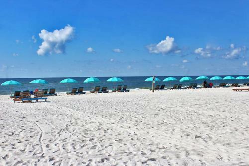 Ocean Reef 304 By Youngs Suncoast