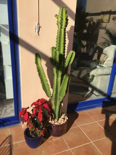 Apartamento Atalaya Dreams