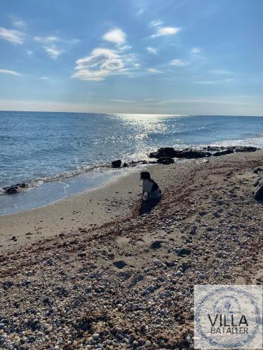 Apartamento Villa Bataller I