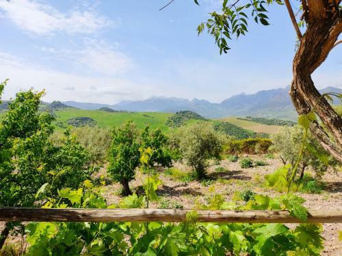 Villa Huerta Nacimiento