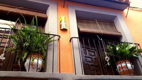 Mi Casa De Moratalla