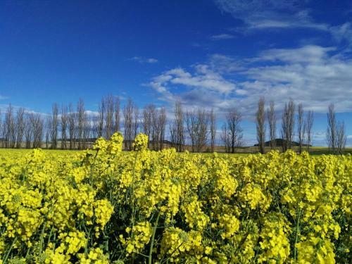 Agroturismo La Aldea Colorada Casa Rural