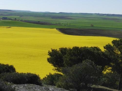 Agroturismo La Aldea Colorada Casa Rural