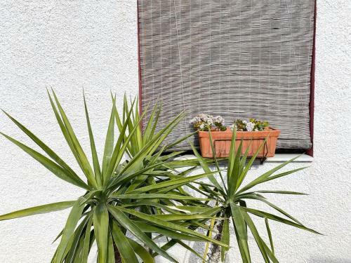Charming Rural House And Pool 7 Min From The Beach