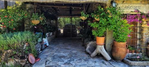 Villa Casa Rural Entre Dos Aguas