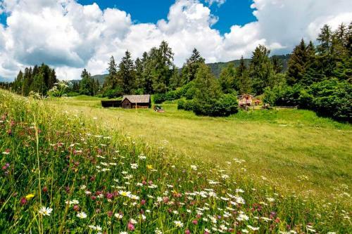 Apartamento Panoramawohnung Bauernhof Mandl
