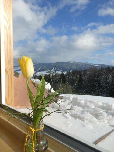 Agroturismo Ferienbauernhof Roth