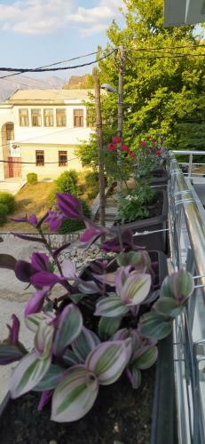 Apartamento A&fabio Guesthouse