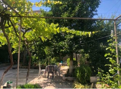 Hostal Miziriguest House