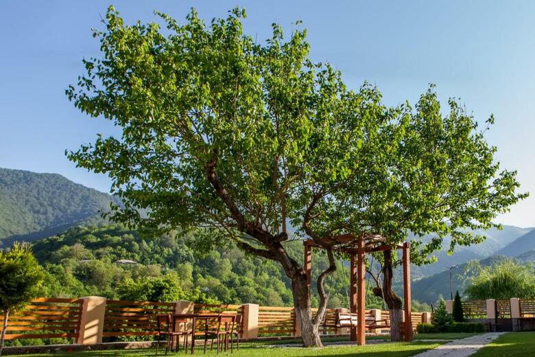Hotel Dilivita Rest House