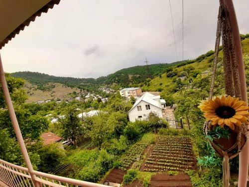 Guesthouse/b&b